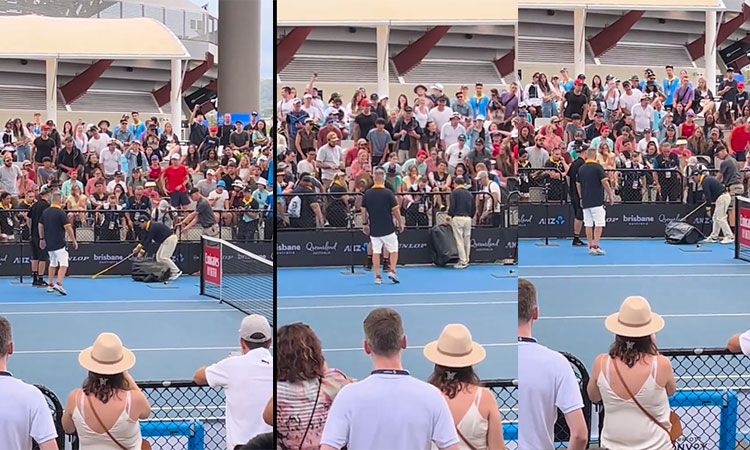 Poisonous snake stops play for 40 minutes at Australia tennis tournament