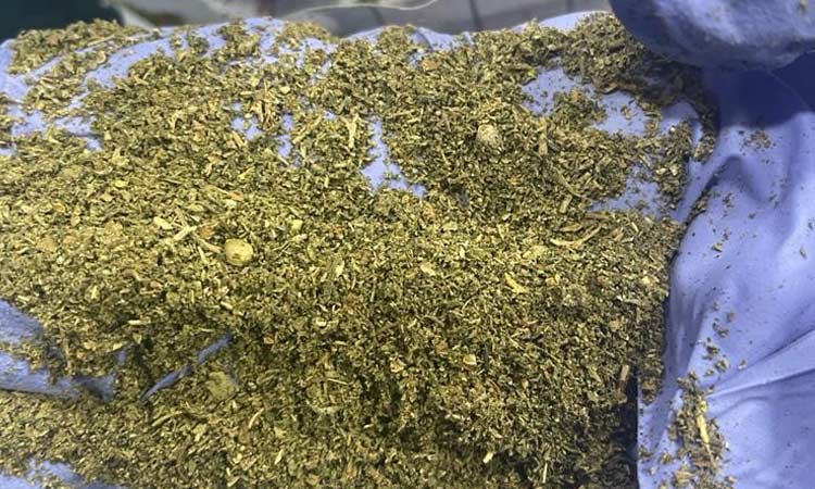 Dubai Customs arrests smuggler with 8.9kg of marijuana