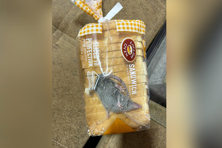 A live mouse came out of a loaf of bread ordered online