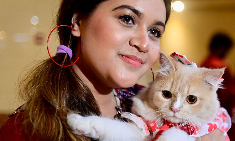 Fancy dress felines on the Bangladesh catwalk