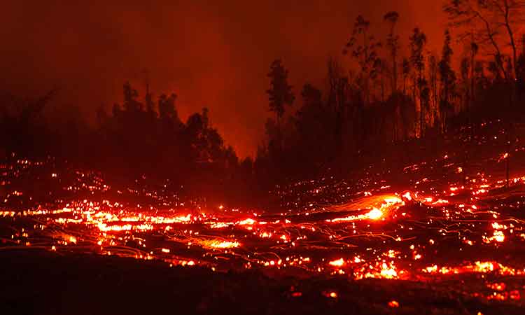 23 dead as dozens of wildfires torch forests in Chile