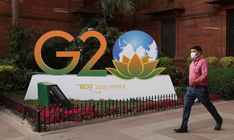 Flower pots arranged for G20 stolen in Indian city of Gurugram, one arrested