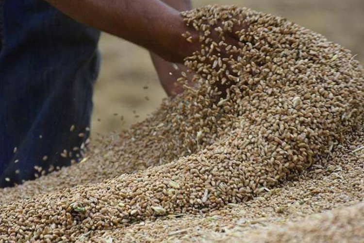 Ukraine Black Sea grain deal extended for at least 60 days