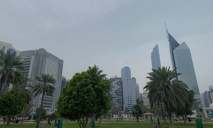 UAE ready to confront the upcoming weather situation