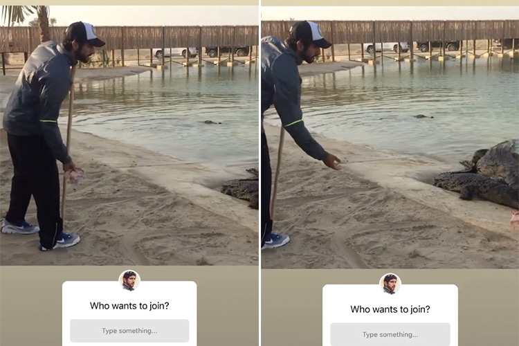 VIDEO: Sheikh Hamdan feeds meat to hungry crocodiles in Dubai