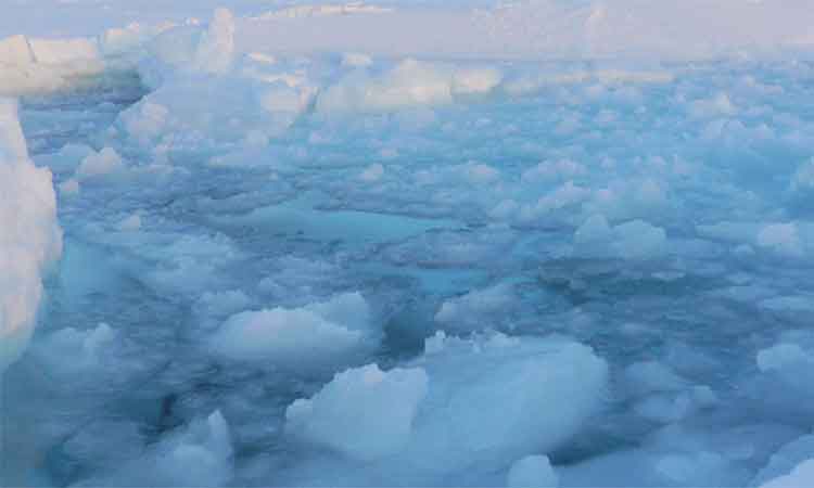 Rescuers evacuate 40 fishermen from ice floe on Russia’s Sakhalin