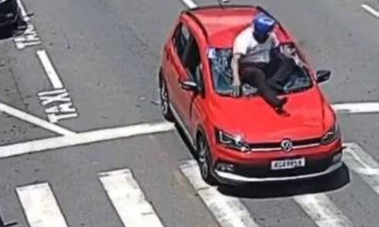 VIDEO: Motorist allows dog to cross a  road, speeding biker then hits car  and lands on windshield