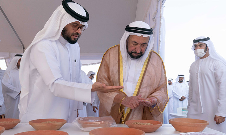 Sheikh Sultan names Mleiha wheat project Sabe’a Sanabel