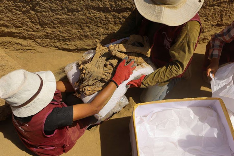 Archaeologists find adolescent mummy wrapped in bundle in Peru