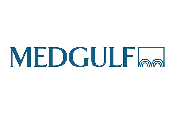 Report on the audit of the financial statements of Mediterranean and Gulf Insurance and Reinsurance company