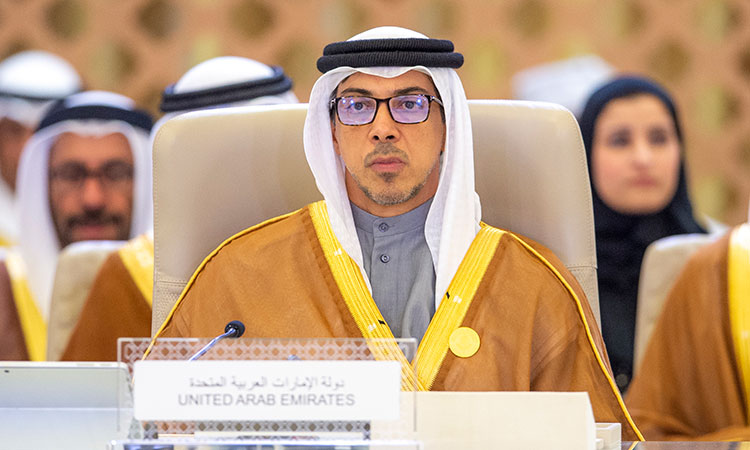 UAE supports all efforts to promote regional stability, peace: Sheikh Mansour 