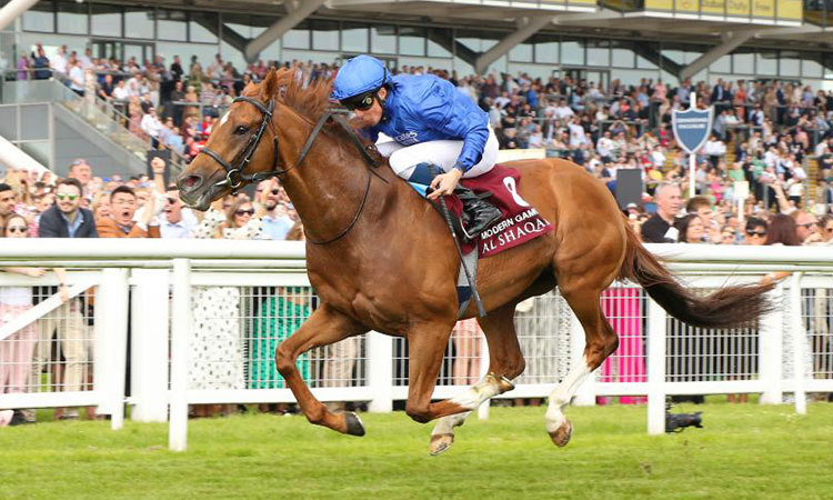 Domestic bliss for Modern Games with sparkling Lockinge Stakes win