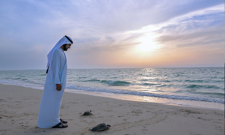 VIDEO: Sheikh Mohammed follows the release of a turtle at Jebel Ali Public Beach