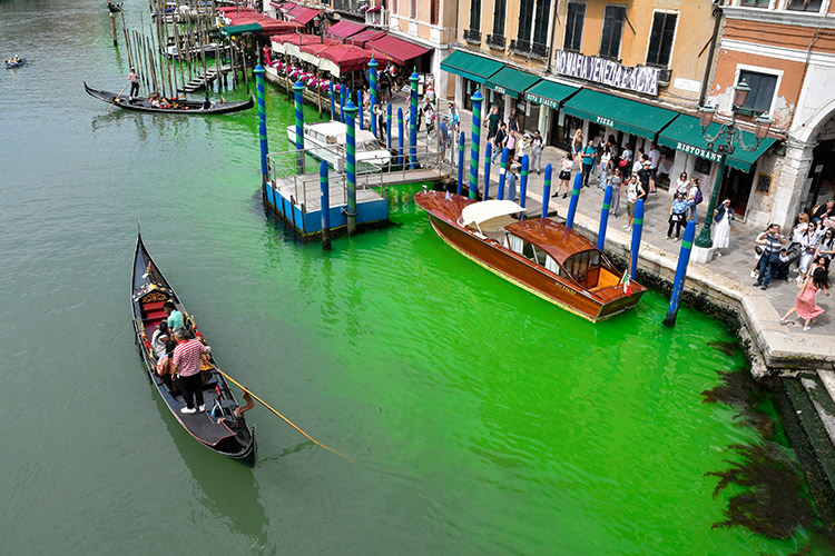 Venice's iconic waters turn fluorescent green near Rialto Bridge