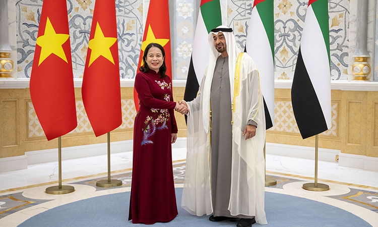 UAE President and Vietnamese VP discuss bilateral relations