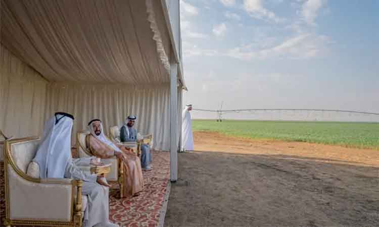 Sharjah's 'Sabaa Sanabel' wheat becomes first national product to get ‘Made in the UAE’ mark