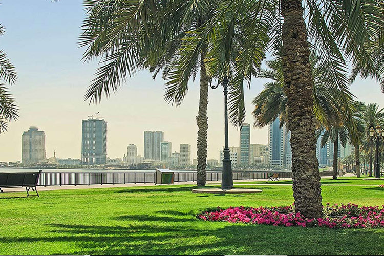 10 behaviours that are banned on green areas in Sharjah