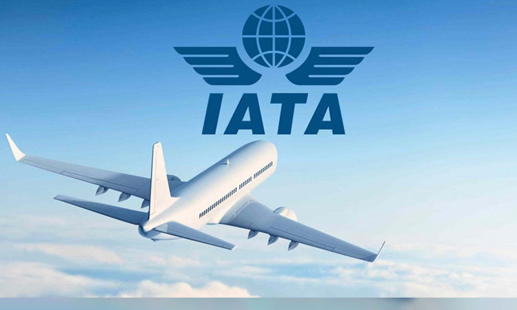 Travel demand continues strong in April, domestic traffic fully recovered: IATA 