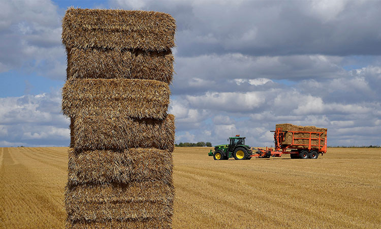 'Many may die' warns UN after end of Black Sea grain deal