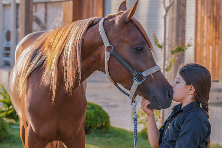 VIDEO: Sheikh Mohammed invites Iraqi-Kurdish girl Lania to Dubai after her horse dies