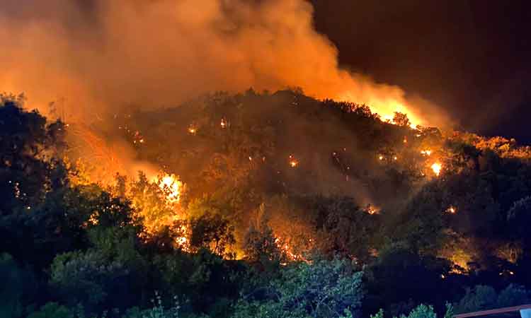 Three dead as Sicily counts losses from ‘devastating’ fires