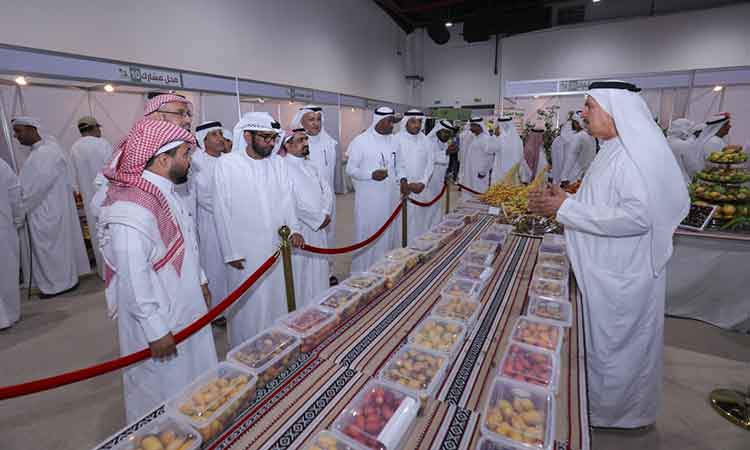 Heritage of palm cultivation graces Al Dhaid Date Festival