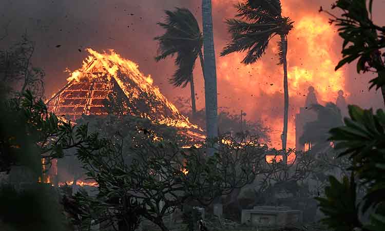 Fast-moving wildfire kills at least 36 as it razes Hawaiian town