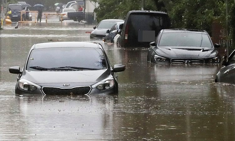 Typhoon Khanun turns South Korean roads into chocolate-coloured rivers