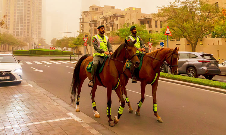 Dubai Mounted Police crucial for bolstering safety, security of community member: Official