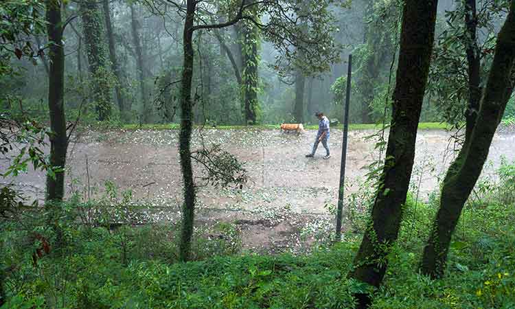 Landslide destroys buildings in north Indian mountains