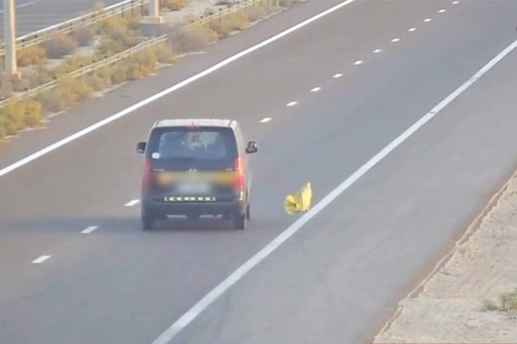 VIDEO: Dhs1,000 fine along with 6 black points for throwing waste from vehicles in Abu Dhabi