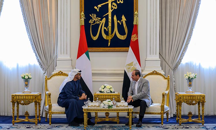 UAE and Egyptian presidents discuss brotherly ties