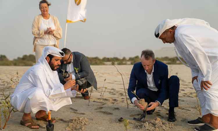 Over 10,000 mangrove saplings planted in Abu Dhabi