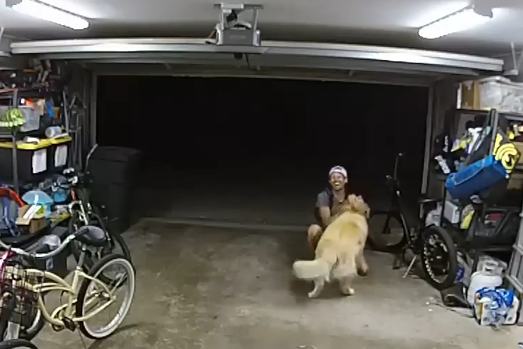 VIDEO: Thief befriends dog, steals e-bike in California