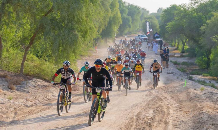 Riders to pedal past 70,000 trees in Dubai's Mountain Bike Race on Oct.15