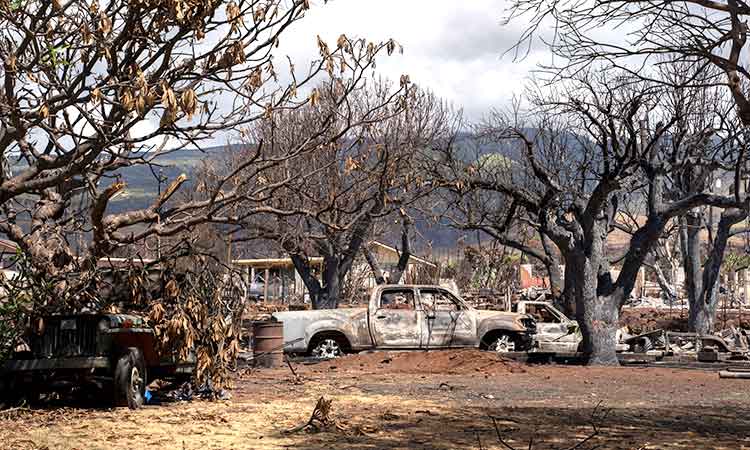 First of thousands of Hawaii town Lahaina residents return to homes destroyed by deadly wildfire