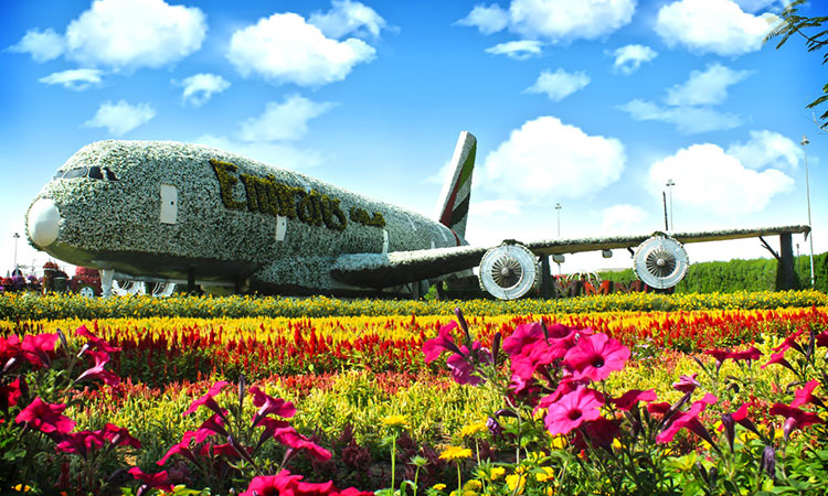 Visitors find world of fragrance in lovely Dubai Miracle Garden