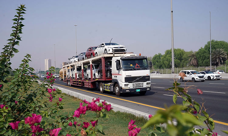 Trucks banned on some internal roads of Dubai's Nad Al Sheba Reserve