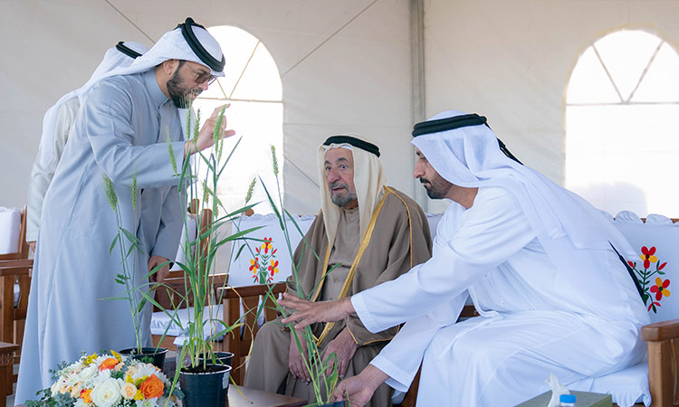 Sheikh Sultan explores wheat farm innovations, inspects Mudina water tank