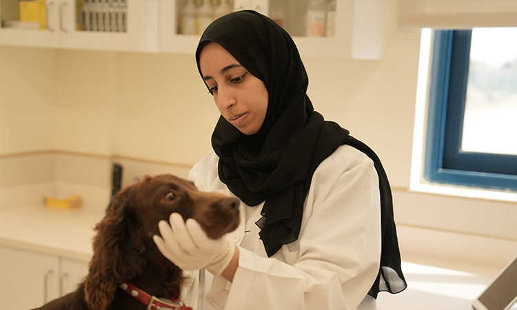 Meet Baljafla, the first Emirati veterinary officer of Dubai Police 