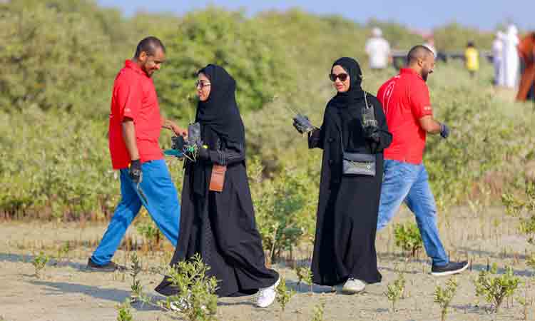 Dewa plants 4,500 mangrove trees at Jebel Ali Marine Sanctuary