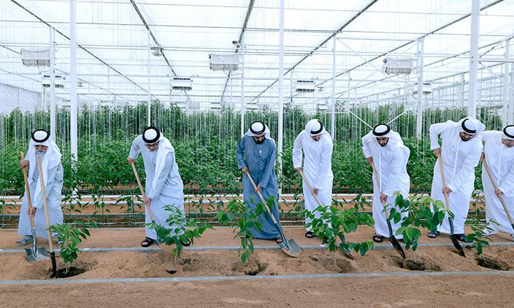 FAO appreciates launch of 'Plant the Emirates' programme