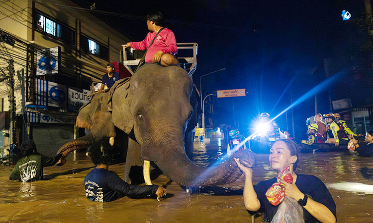 Flash flooding kills 3 people and two elephants in Thailand's tourist city of Chiang Mai