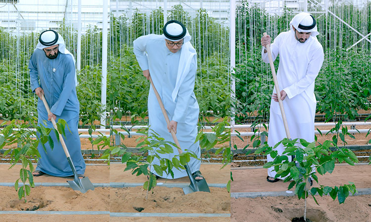 Mohammed Bin Rashid launches national programme ‘Plant the UAE’ fulfilling Zayed's will