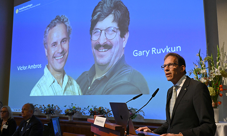 Nobel prize for medicine goes to US scientists Ambros and Ruvkun