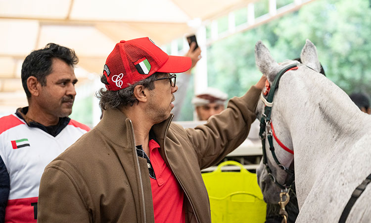 Sheikh Mansour attends 25th UAE President's Endurance Cup race