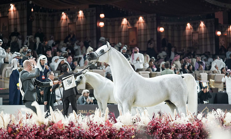 Abu Dhabi set to host second leg of Iconic Global Champions Arabians Tour