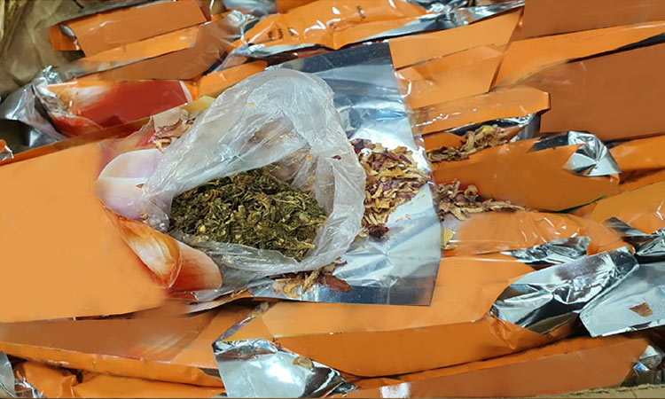 Dubai Customs seizes 26.45 kg of Marijuana hidden in red onion shipments