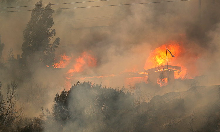 Chile wildfires kill at least 51 in ‘unprecedented catastrophe’