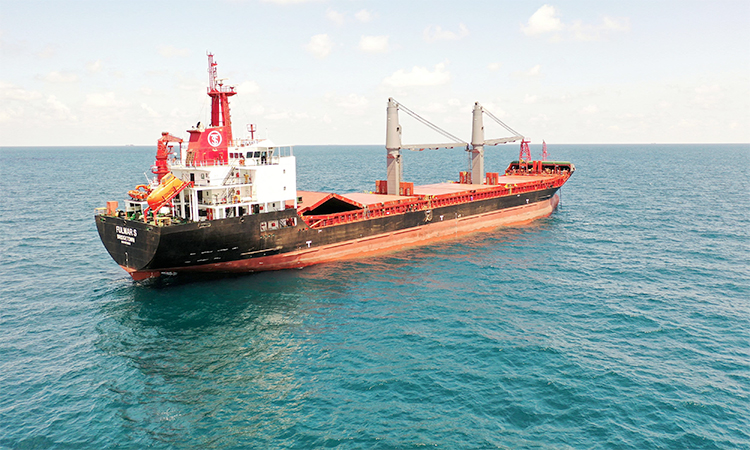 Houthis damage cargo ship in Gulf of Aden as they step up attacks